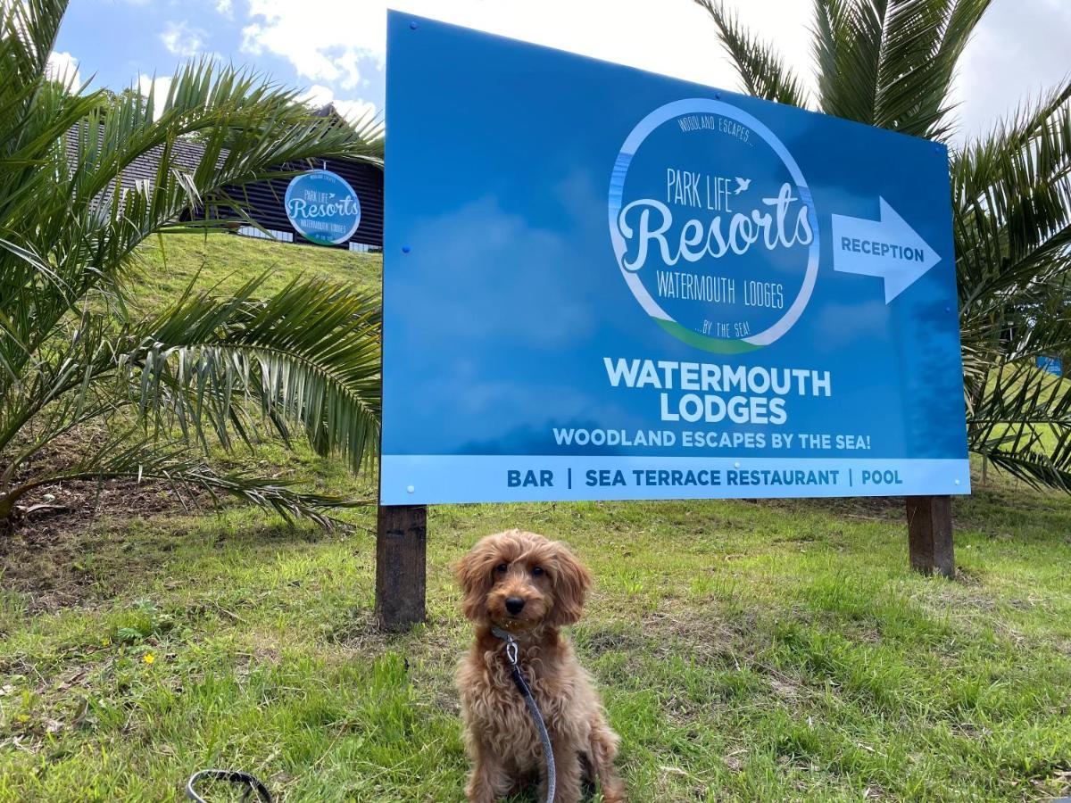 Watermouth Lodges Ilfracombe Exteriér fotografie